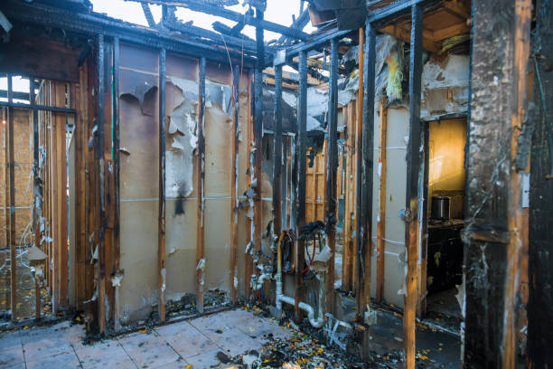 Professional Fire Damage Removal technician working in Tampa, FL
