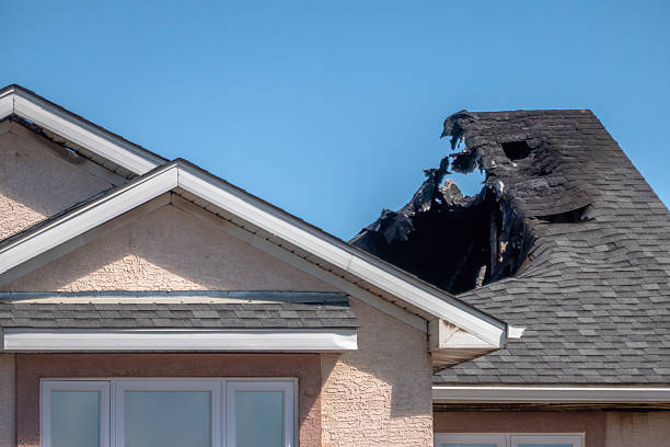 Top rated local Fire Damage Removal specialists in Tampa, FL